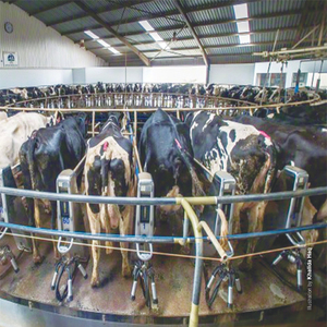 Dairy sector fears losing zero-rating status Dairy sector fears losing zero-rating status