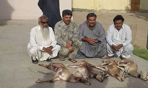 PPP lawmakers hunt deers defying ban