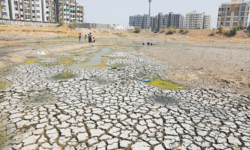 Indian court slams authorities over &lsquo;ostrich-like&rsquo; attitude to drought