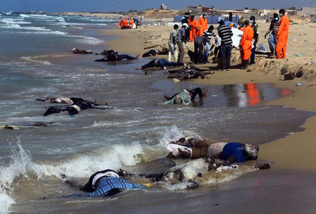 Bodies of 85 migrants found along Libyan coast