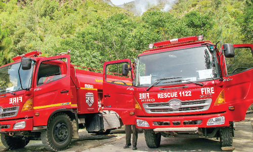 Fire destroys precious trees in Swat mountain
