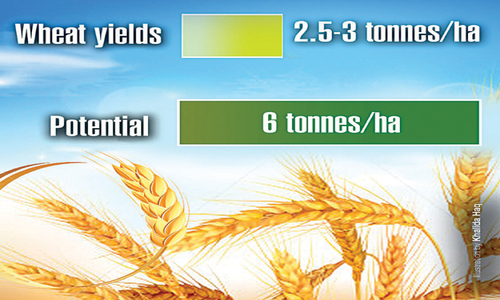 Productivity crisis in farming