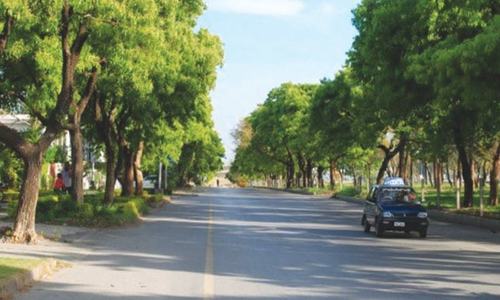 A year on, plan to plant three million trees in Karachi still not executed