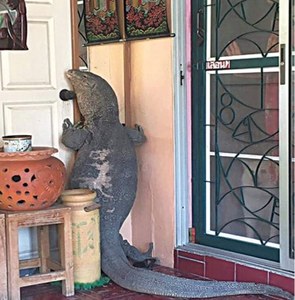 Story Times: The weekly weird
