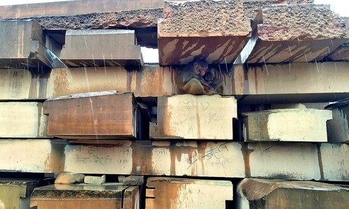 Monkeys take shelter under stone columns that VHP says will be used to build a Ram temple at the disputed religious site in Ayodhya. ─Reuters