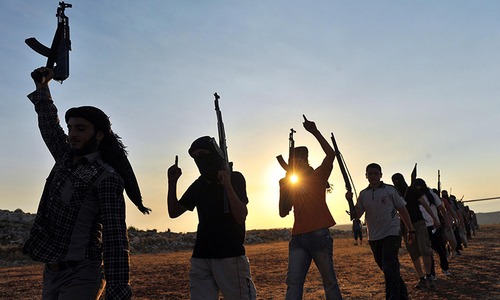 &lsquo;650 Pakistanis fighting in conflict zones abroad&rsquo;