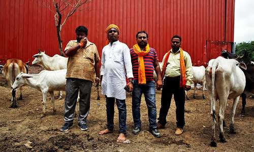 Holy cows and Hindu crusaders cloud Modi's Indian reform drive