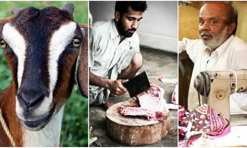 Eid Mubarak? Here's how the bakra, the butcher and the tailor messed up my Bakra Eid calm Eid Mubarak? Here's how the bakra, the butcher and the tailor messed up my Bakra Eid calm