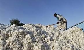 Indian cotton exports to Pakistan slump amid tensions