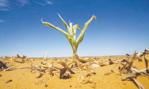 When climate change hits KP