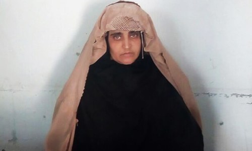 Special court summons Sharbat Gula