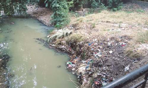 Tale of two cities: why is garbage a problem Tale of two cities: why is garbage a problem
