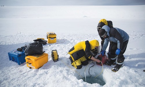 Robot gives rare glimpse under Antarctic sea ice