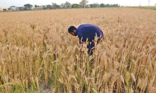 Flood-hit farmers’ savings rise: ADB Flood-hit farmers’ savings rise: ADB