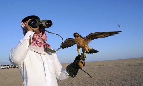 Arab hunters should be asked to contribute towards social development