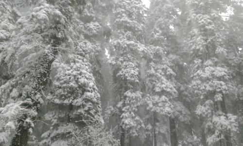 Tourists throng Murree to enjoy snowfall