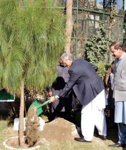 Billion Tree Tsunami project increases forest cover: CM Billion Tree Tsunami project increases forest cover: CM