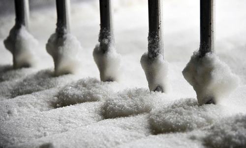 Biscuit makers warn against sugar exports