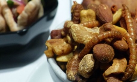 Insect-eating might be the latest food trend. Would you try it?