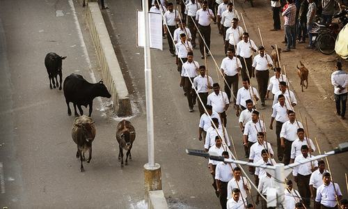 Crackdown creates meat shortage in Indian state Uttar Pradesh