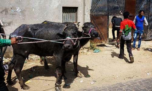 India crackdown on illegal slaughterhouses hurts poor most, analysts say