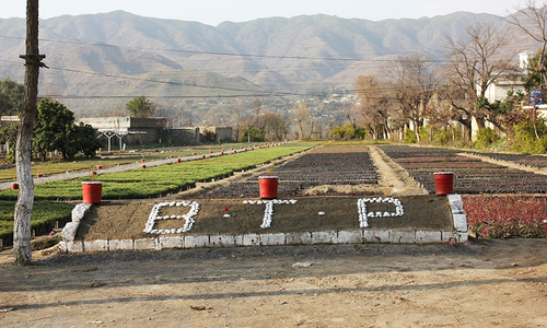 Facing off the &lsquo;timber mafia&rsquo; &ndash; Khyber Pakhtunkhwa&rsquo;s forest crusade