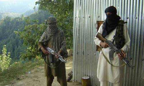 Afghan Taliban take district in spring offensive