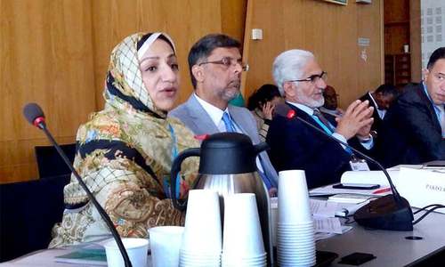 Pakistan&rsquo;s fight against disease outbreaks recognised at world forum
