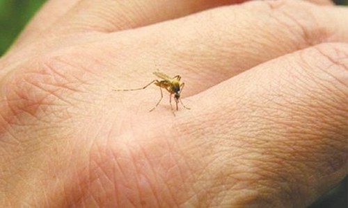 First Zika virus cases found in India: WHO