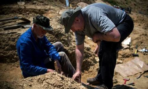 Looking for man&rsquo;s origins in Bulgarian savannah