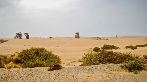 &lsquo;Drought- like&rsquo; situation hits Makran