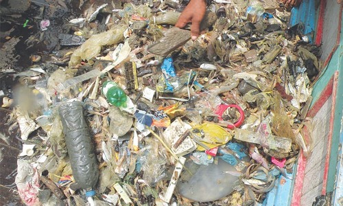 Plastic pollution poses serious threat to marine life