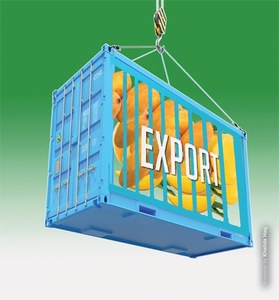 Unlocking mango export potential