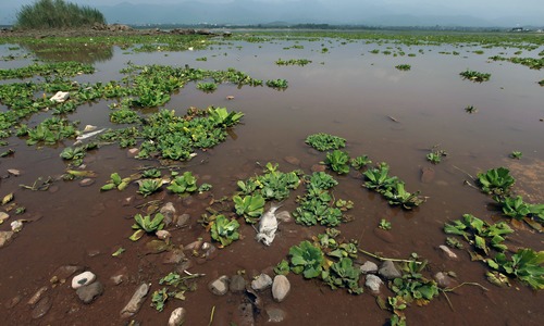 'Local mafia' nominated in FIR for contamination of Islamabad's Rawal Dam