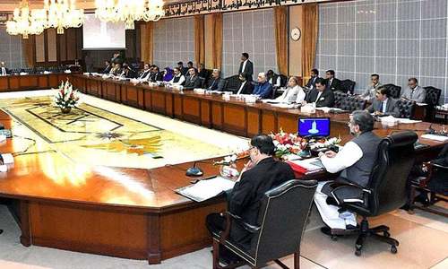 Cabinet divided over ban on automatic weapons Cabinet divided over ban on automatic weapons