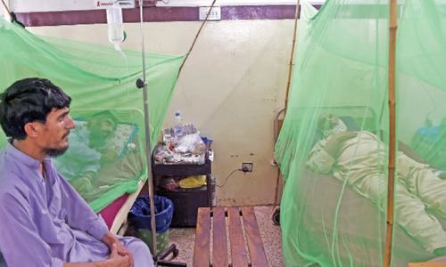 Punjab dengue experts leave for Peshawar