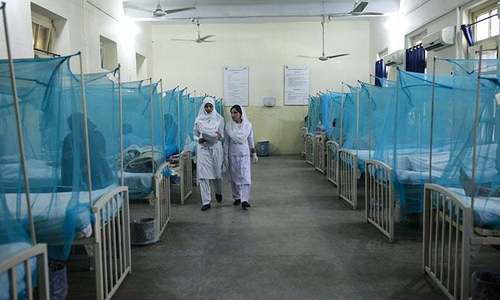 7 dead, over 1,500 affected by dengue in Peshawar: officials