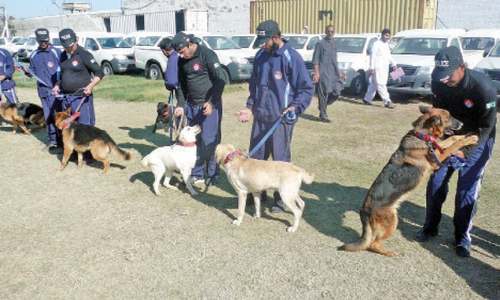 Unsung heroes of Khyber Pakhtunkhwa police