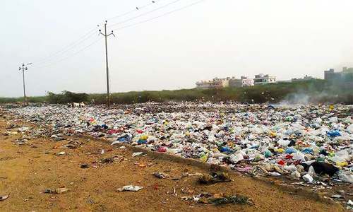 'Plastic-eating' fungus discovered in Islamabad garbage dump 'Plastic-eating' fungus discovered in Islamabad garbage dump