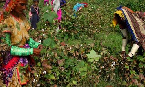 SINDH&rsquo;S AGRICULTURAL SLAVES