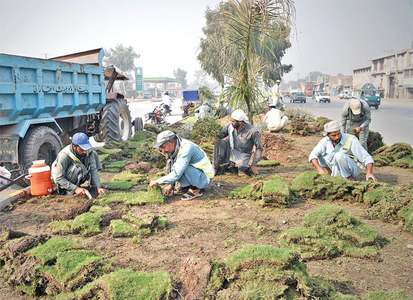 Peshawar bus project challenged in court