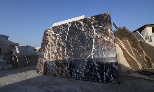 LOSING OUR MARBLE LOSING OUR MARBLE