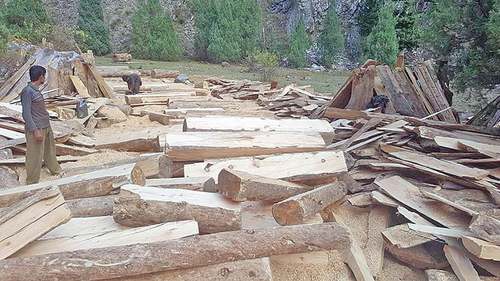 Over 170 booked over deforestation in GB