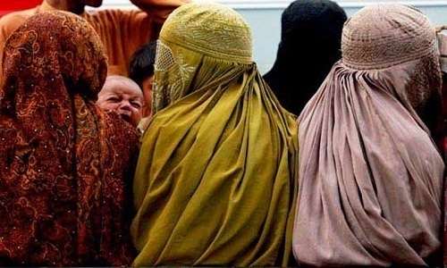 'Taliban faction' makes comeback in South Waziristan under guise of 'peace committee' 'Taliban faction' makes comeback in South Waziristan under guise of 'peace committee'