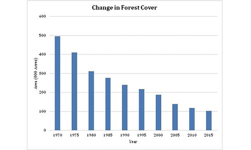Report reveals how Sindh has been robbed of its forests