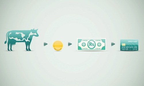 Non-profits in microfinance: problems and prospects