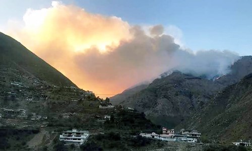 Massive blaze destroys 700 acres of forest land in KP's Shangla district