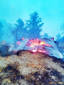 Wildfire in Shangla district gutted 700 acres of forests. —Photo by Author