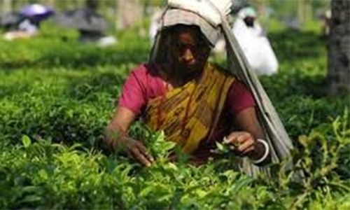 Cleric in Bangladesh arrested for issuing fatwa against women farmers