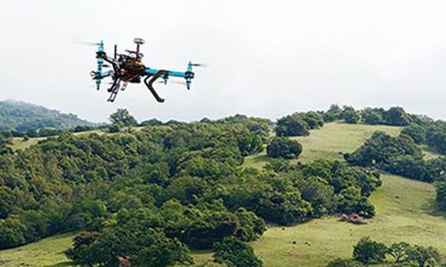 Punjab gets $300m World Bank loan to modernise agriculture